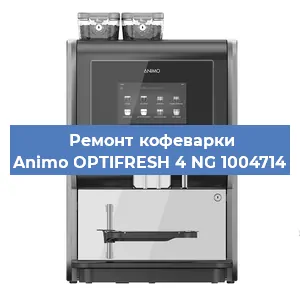 Чистка кофемашины Animo OPTIFRESH 4 NG 1004714 от кофейных масел в Москве